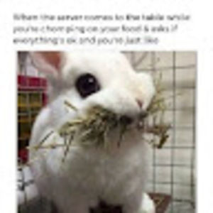 Meet your Posher, Terry